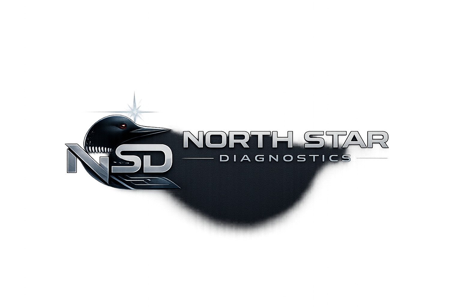 North Star Diagnostics logo